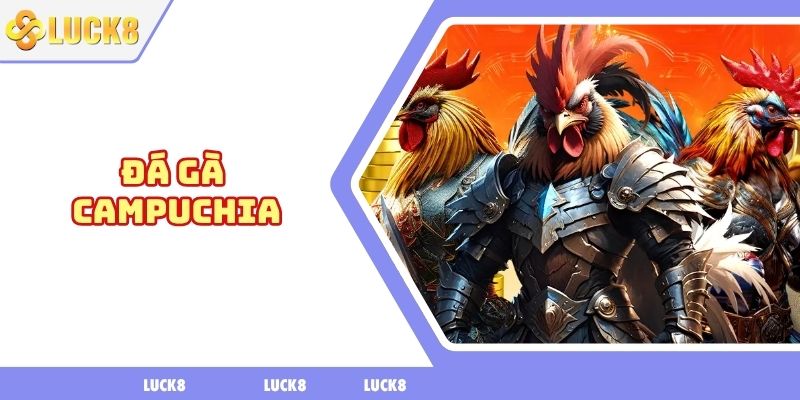 Đá gà campuchia